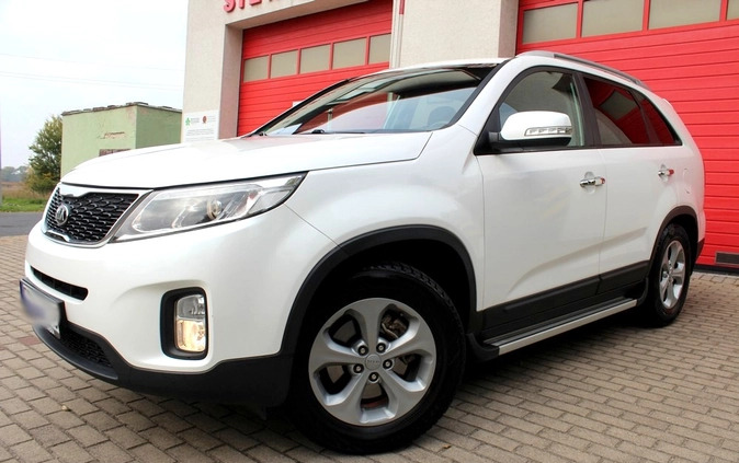 Kia Sorento cena 64900 przebieg: 173000, rok produkcji 2014 z Brusy małe 742